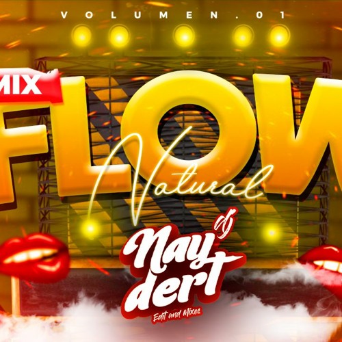 FLOW NATURAL Mix Vol. 1 - Dj Naydert