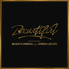 Beautiful ( One more night Remix ) - Black Flamingo & Vanesa Leklein