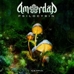 Amordad - Psylocibin (sample)