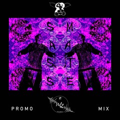 SassMate Promo Mix