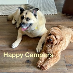 Happy Campers (featuring Glenn Sevillo)
