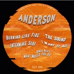 [PREMIERE] The Sound - Anderson | D.I.Y. [2024]