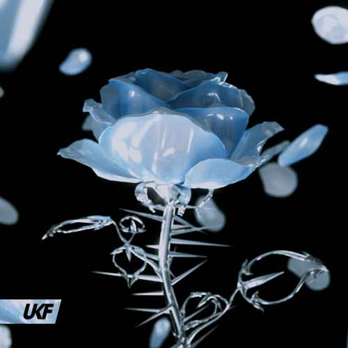 Artwork for the song Synergy & RIENK - Stay by UKF on Next Sound