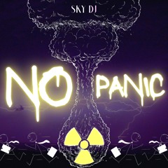 No Panic (original Mix) SKY DJ (2022)