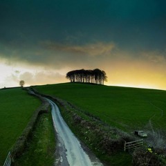 The Long Way Home