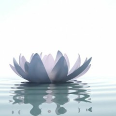 Vocal Toning 4 Wellness with Guided Narration