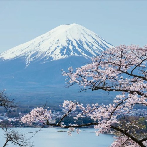 خير النساء (عن البحرين) _ بسام شمص