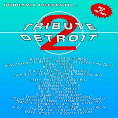SORRYMIX16: Fine Touch - Tribute 2 Detroit Mix