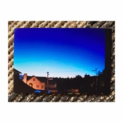 06 - Birds And The Bees