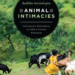 ⚡PDF❤ Animal Intimacies: Interspecies Relatedness in India's Central Himalayas (Animal Lives)