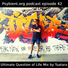 Psybient.org Podcast -42- Tuatara - Ultimate Question of Life