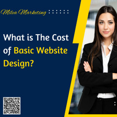 What is The Cost of Basic Website Design?