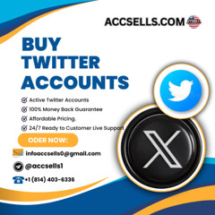 Top 15 Platforms for Purchasing Twitter Accounts