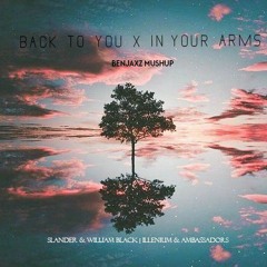 Back To You X In Your Arms  (Benjaxz MushUp).mp3
