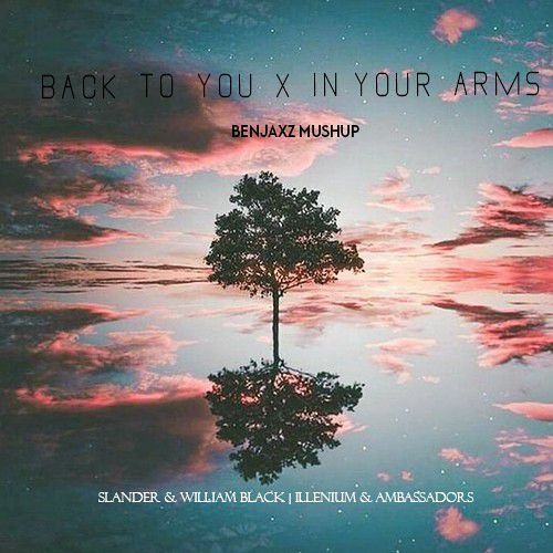 Stream Back To You X In Your Arms (Benjaxz MushUp).mp3 by | Benjaxz Music |  Listen online for free on SoundCloud