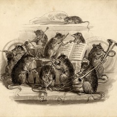 May Flowers String Quartet 05-04-25