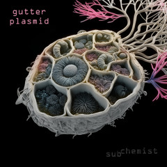 gutter plasmid