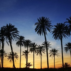 Summer 22' Mixtape MP3