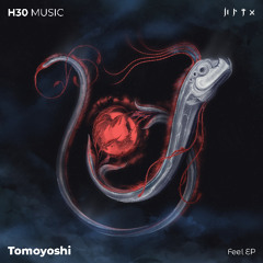 Tomoyoshi - Feel (PROT3KT-H3O-007)