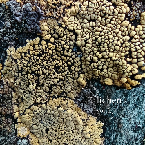XianZai - Caloplaca