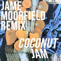 HSM PREMIERE | Al Lupo - Coconut Jam (Jame Moorfield Remix) [Anomalis Radio]