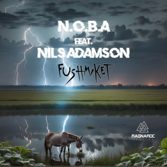 RAG039 N.O.B.A Feat. Nils Adamson - Fushmiket