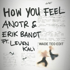 ANOTR, Erik Bandt Feat.Leven Kali - How You Feel (Wade Teo Edit)