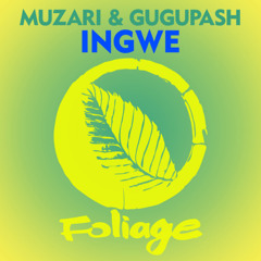 Muzari & GuguPash - Ingwe (Andrèé Remix)