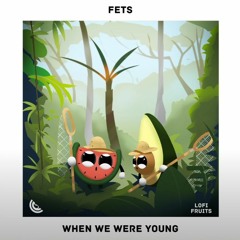 Fets - When We Were Young (Lofi Hip Hop Remix)