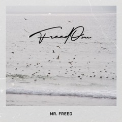 Mr. Freed - Frame Of Mind