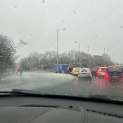 pathetic fallacy (tz)