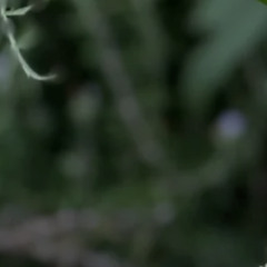 DrumLoop - New Drums