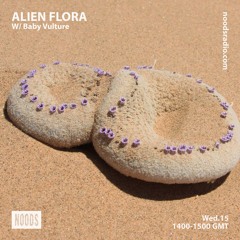 Alien Flora w/ Baby Vulture ─ Noods Radio (15.04.2020)