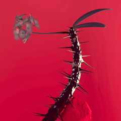 Flume, KUČKA - Hyperreal (Sleya x Kaden Meza Edit)