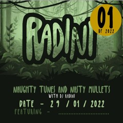 Naughty Tunes & Nasty Mullets 01 -  22.01.22