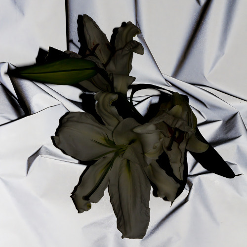 LXV034 - XVIII - Raw Archive