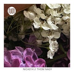 nica014 // THOM NAGY @ GOOD NOISE