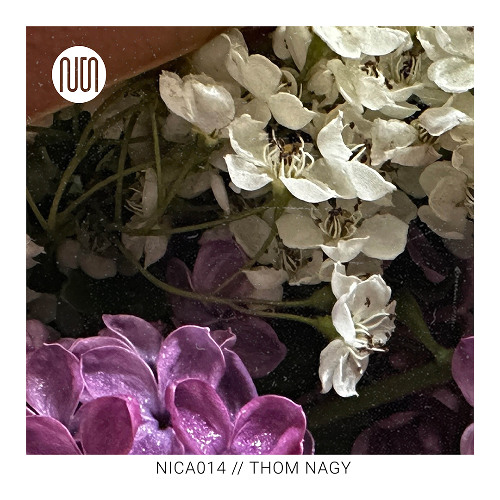 nica014 // THOM NAGY @ GOOD NOISE