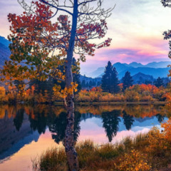 Autumn Haze