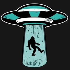 07 - People Holes (Live)