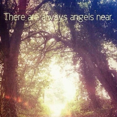 seethelight