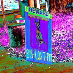 Galleria with J Dlux