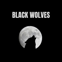 Black Switch x Wolves (Salkin Edit) - Selena Gomez, ZoomLike