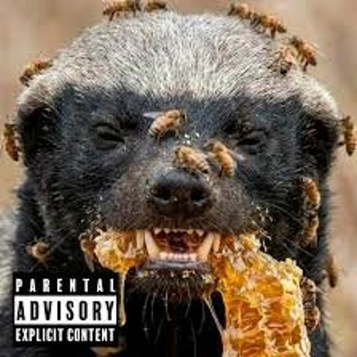 Скриптонит (Killa Crossavah) - Medoed Mixtape Vol.1