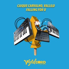 Caique Carvalho, Vallilo - Falling For U (Original Mix) [WyldCard Records]