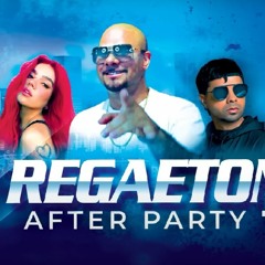 Karol G, Bad Bunny, Ryan Castro, Chencho Corleone, Feid - Reggaeton Mix After Party 7 (By Dj Naydee)