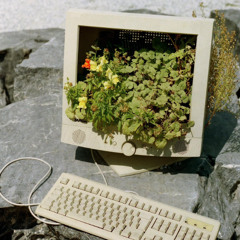 slow me down (tape demo)