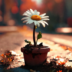 Milo Beats Special - Vol 2