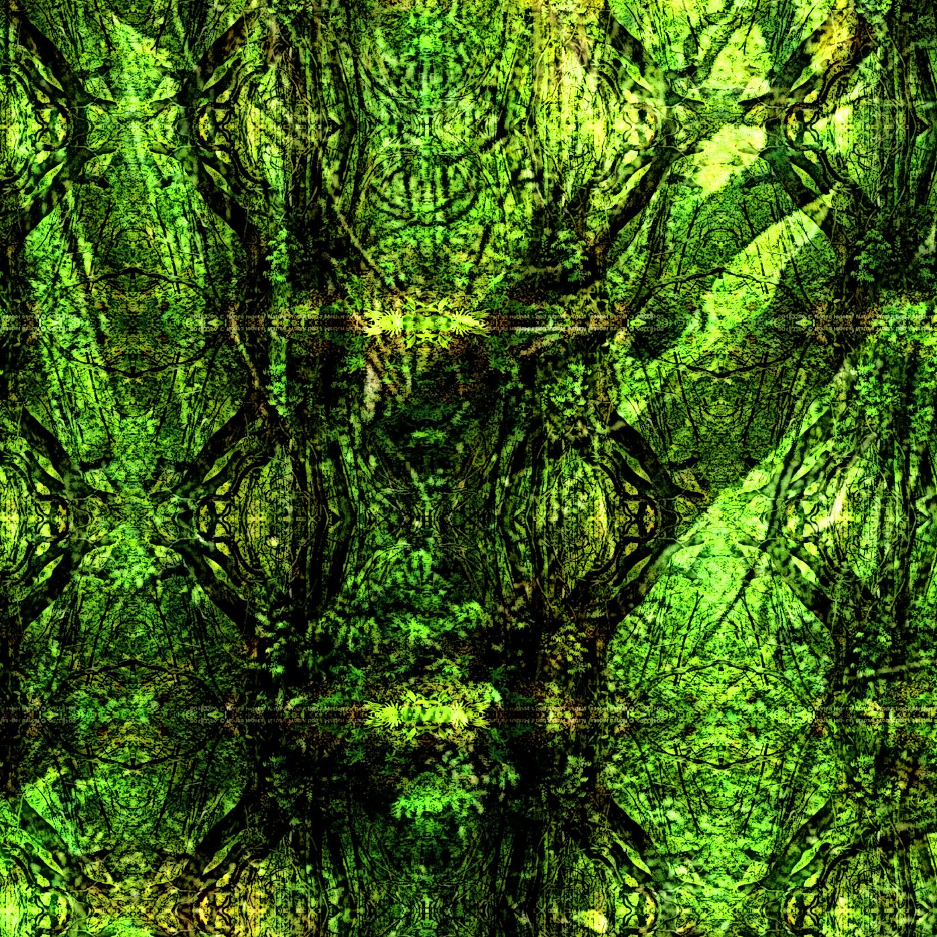 Huge Chinquapin (naviarhaiku489) episode artwork