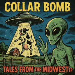 They Call Me Steve - Teenage Bottlerocket Cover